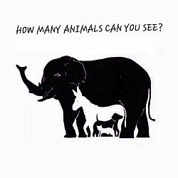 Find out with Kharivhone Exclusive Tours