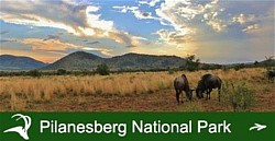 Pilanesberg National Park